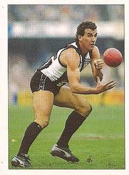 1990 Select AFL Stickers #50 Darren Millane Front